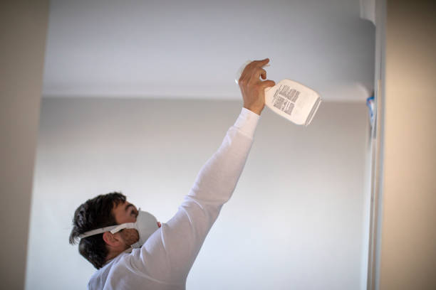 Best Mold Remediation  in Osgood, IN