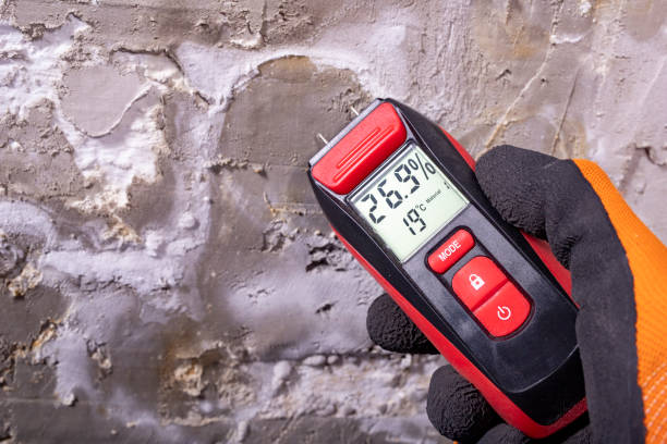 Best Toxic Mold Removal  in Osgood, IN