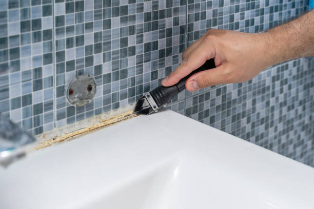 Best Emergency Mold Removal  in Osgood, IN