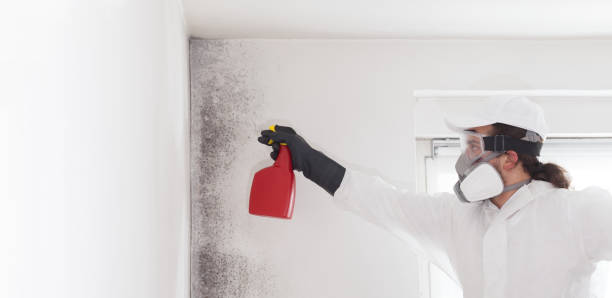 Best Residential Mold Removal  in Osgood, IN